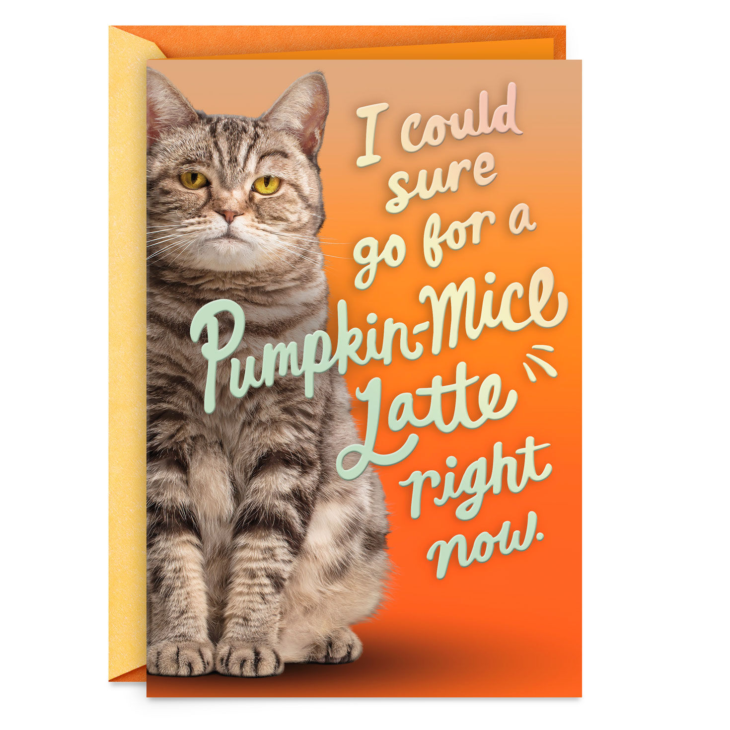 Pumpkin-Mice Latte Funny Halloween Card for only USD 3.99 | Hallmark