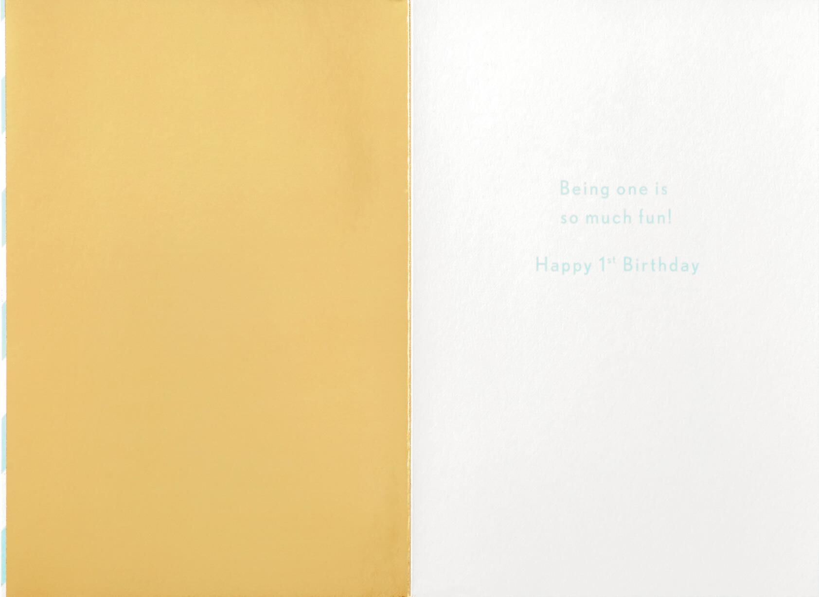 Being 1 Is Fun Confetti 1st Birthday Card