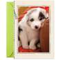 Resting Puppy Dog Blank Get Well Card, , large image number 3