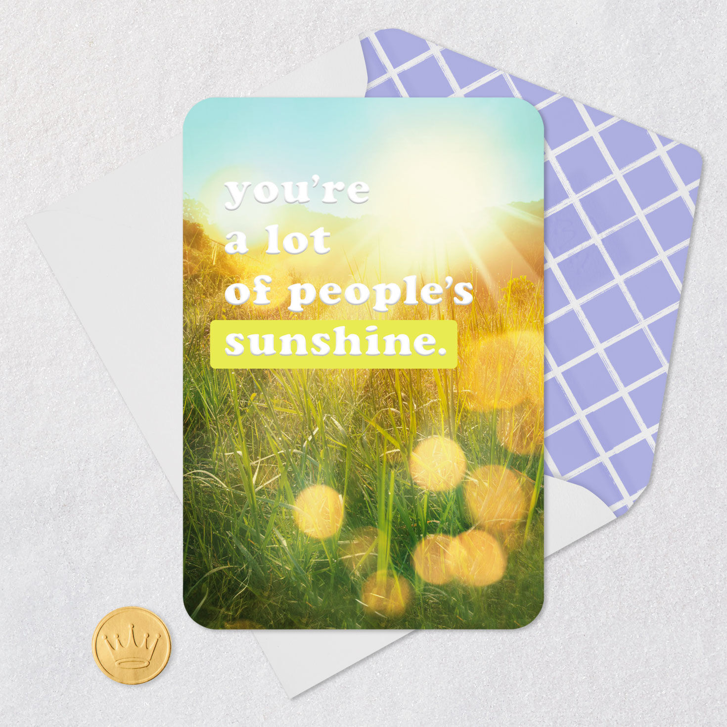 Sun Rays in Meadow Card Card Front with Envelope and Gold Seal image number 5