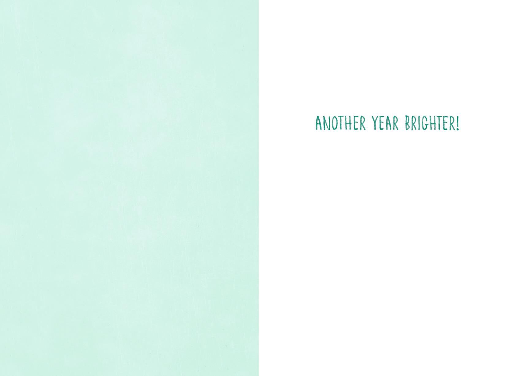 Another Year Brighter Birthday Card