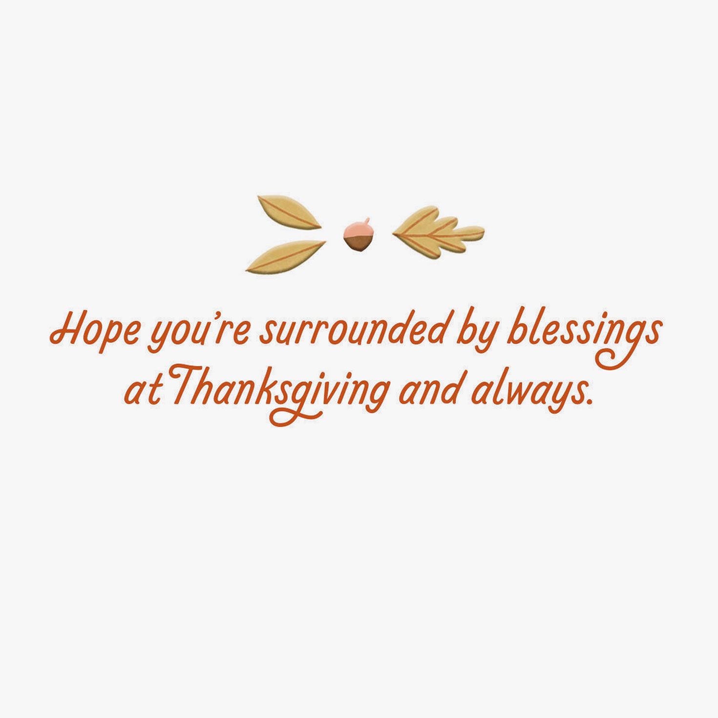 Autumn Leaves Border Thanksgiving Card Sentiment image number 2