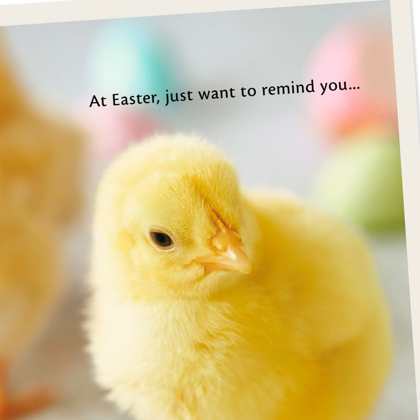 hallmark easter chicken