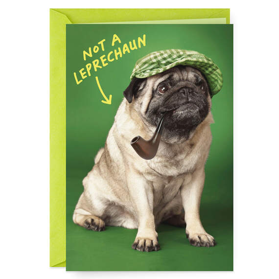 Not a Leprechaun Funny St. Patrick's Day Card, , large image number 1
