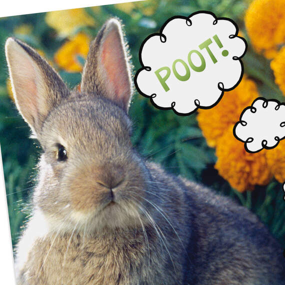 Bunny Farts Funny Easter Card, , large image number 4