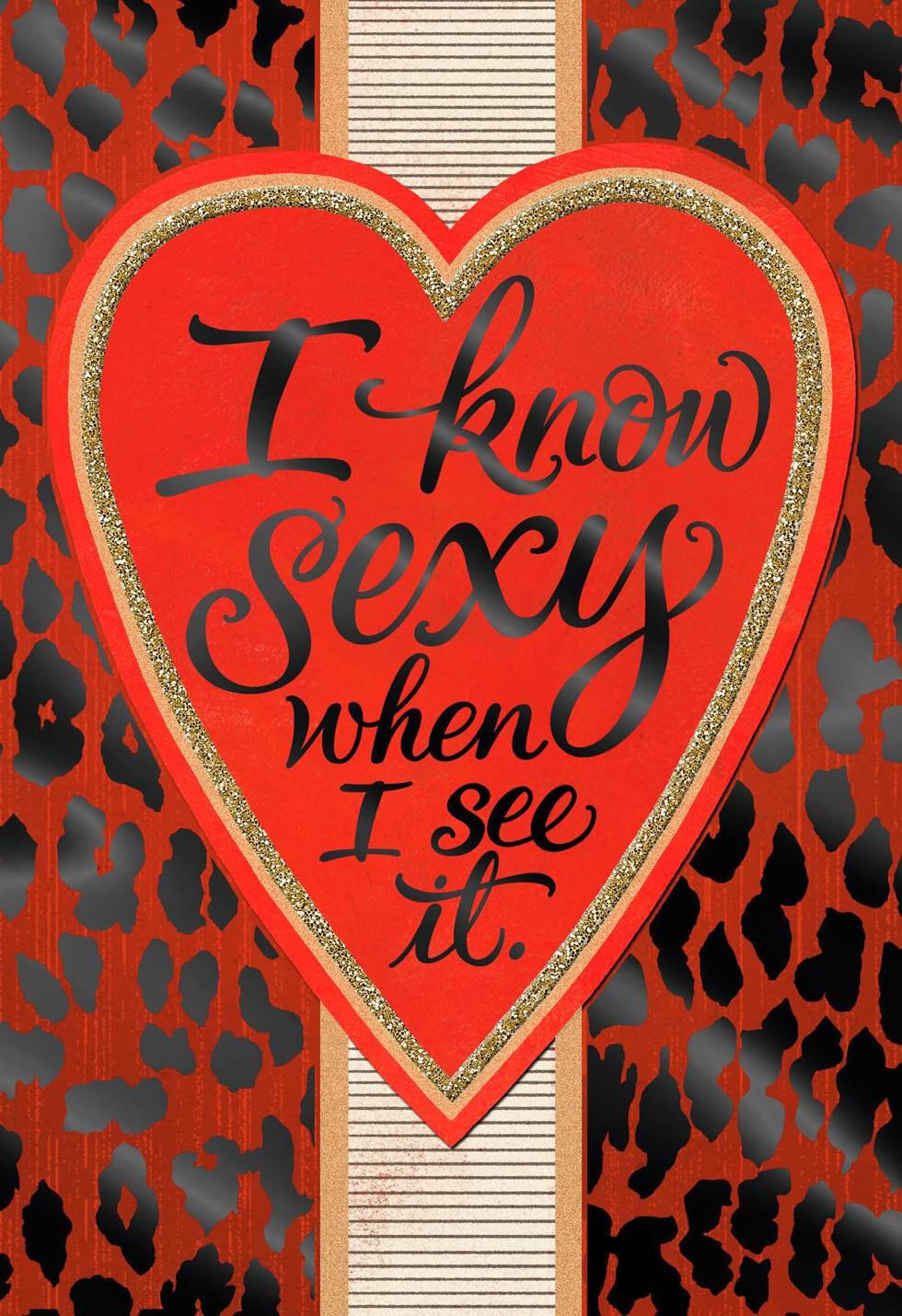 I Know Sexy Valentine's Day Card