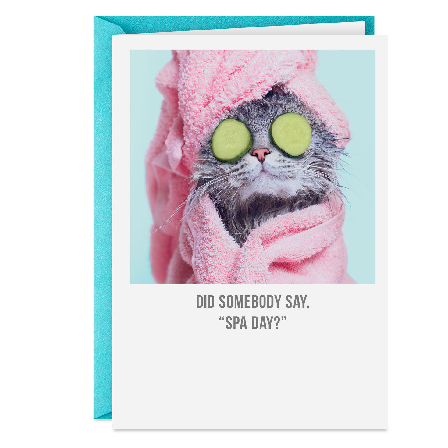 Did Someone Say Spa Day Funny Card for only USD 3.69 | Hallmark