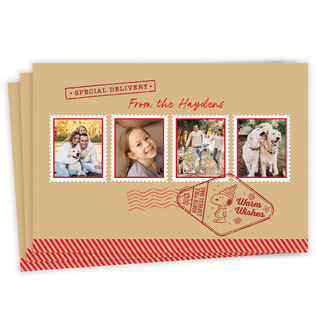 Peanuts® Snoopy Special Delivery Flat Christmas Photo Card