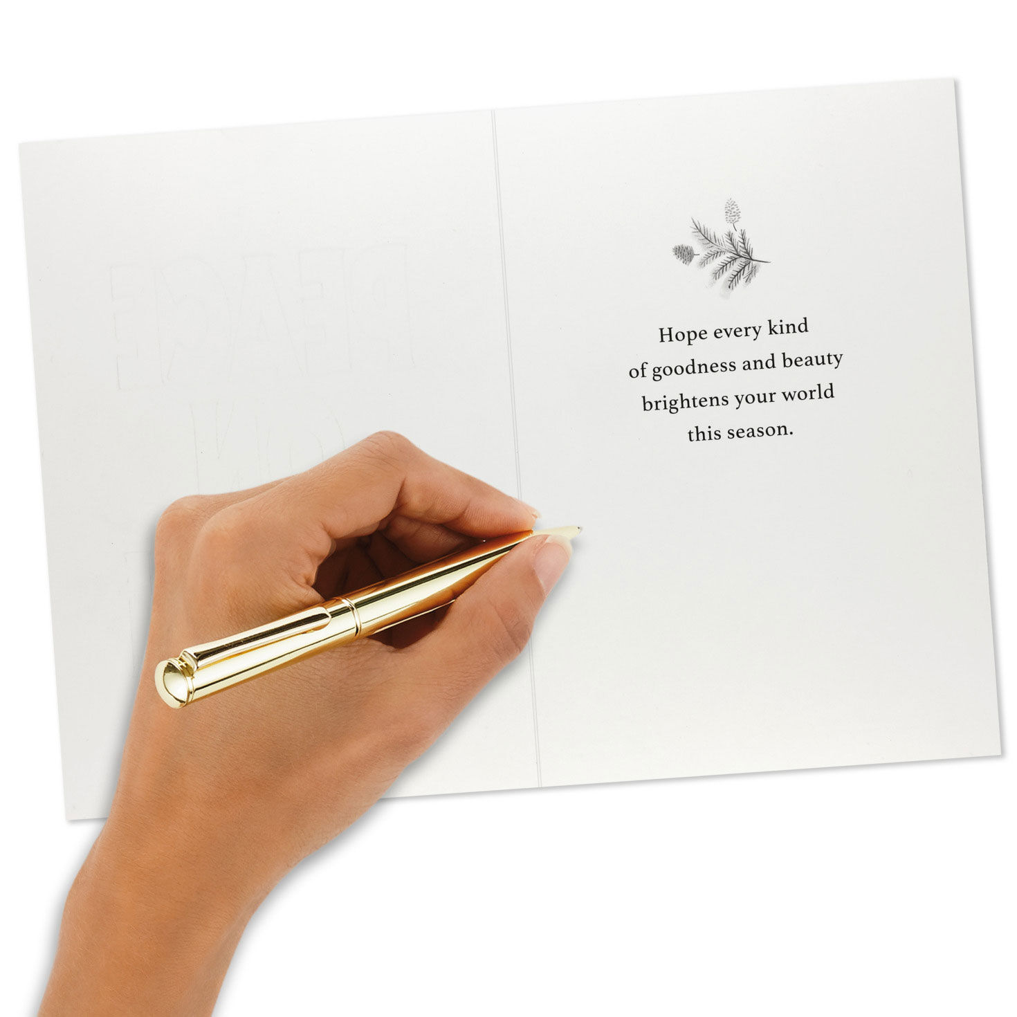 Greenery and Birds Peace Boxed Christmas Cards Signing card image number 6