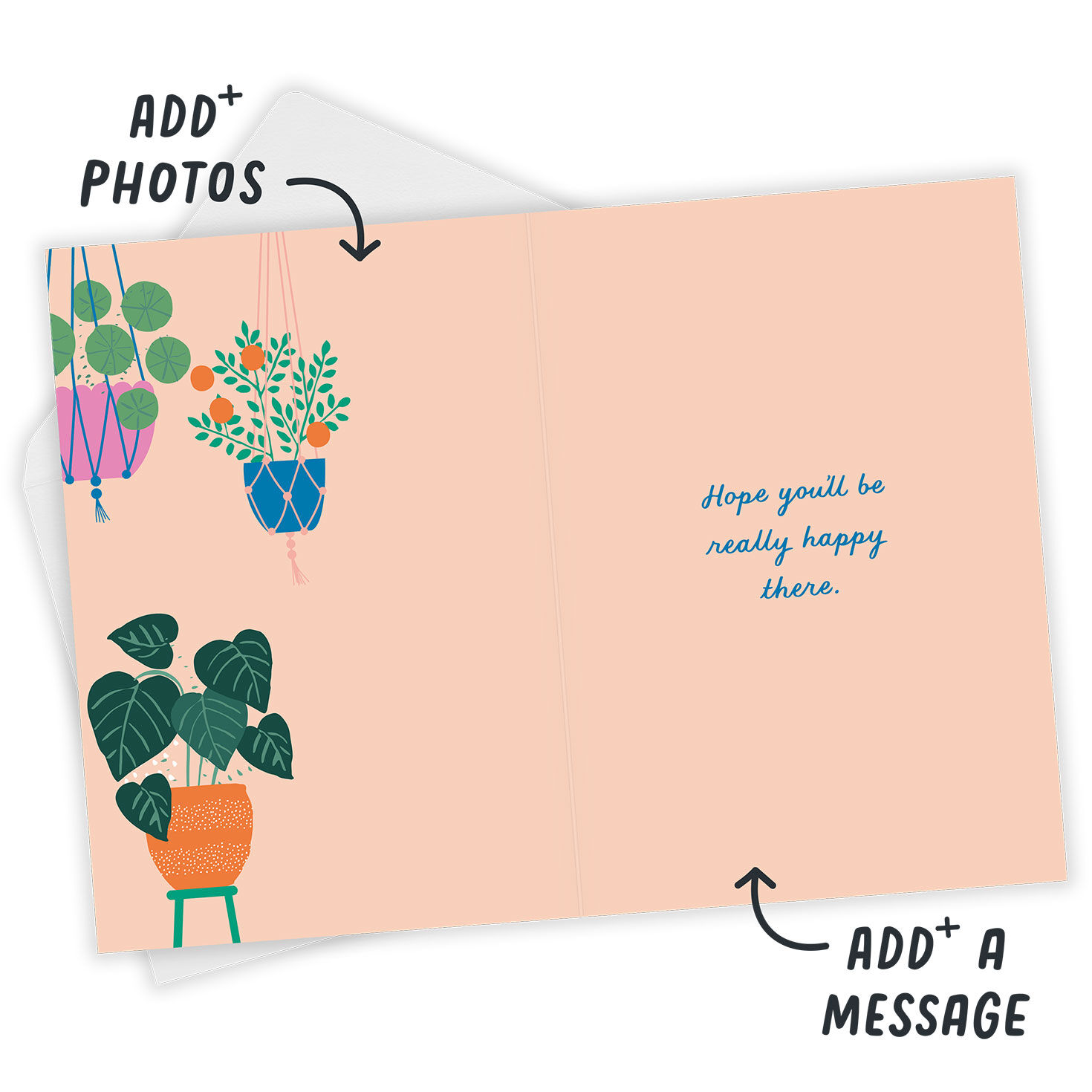 Fancy New Pad Custom New Home Card, , large image number 3