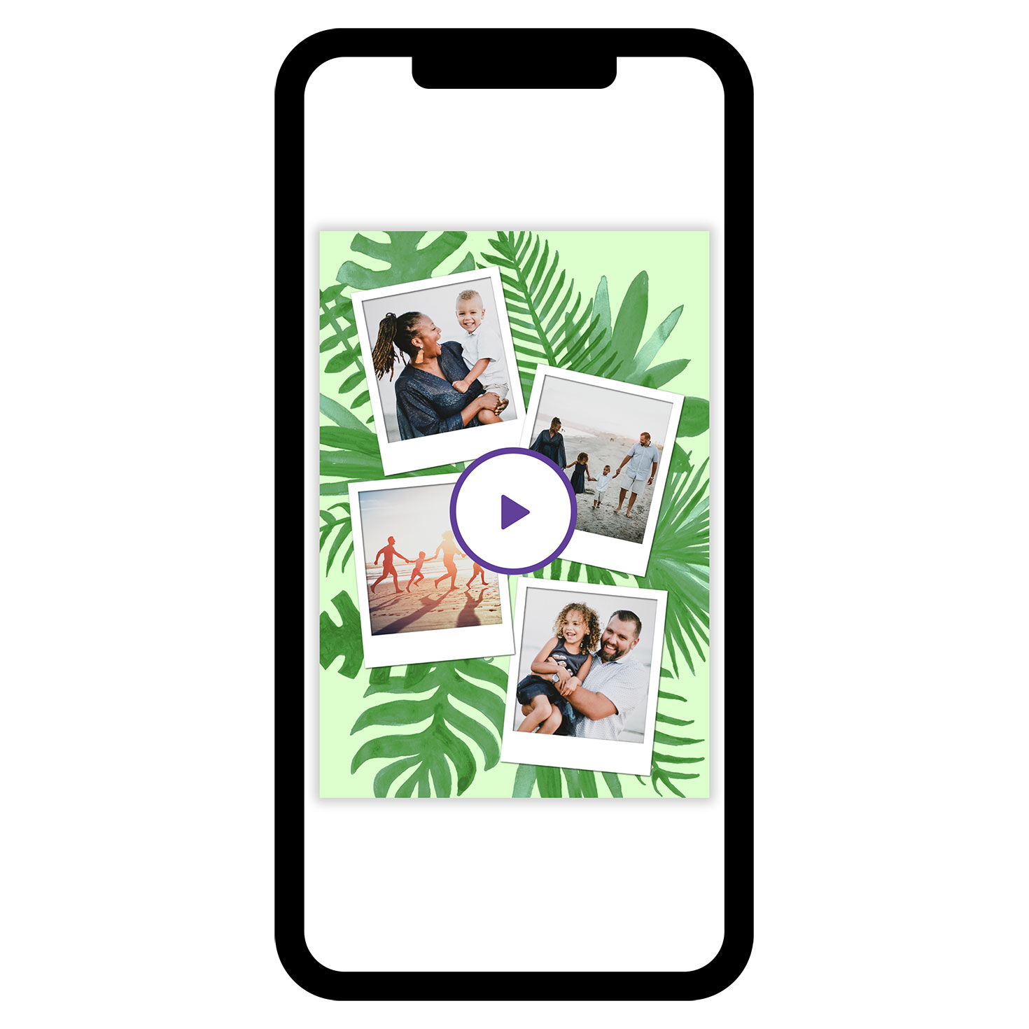 Tropical Ferns on Green eCard