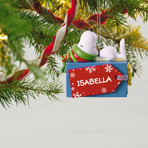 Peanuts® Snoopy Christmas Present Personalized Ornament, 