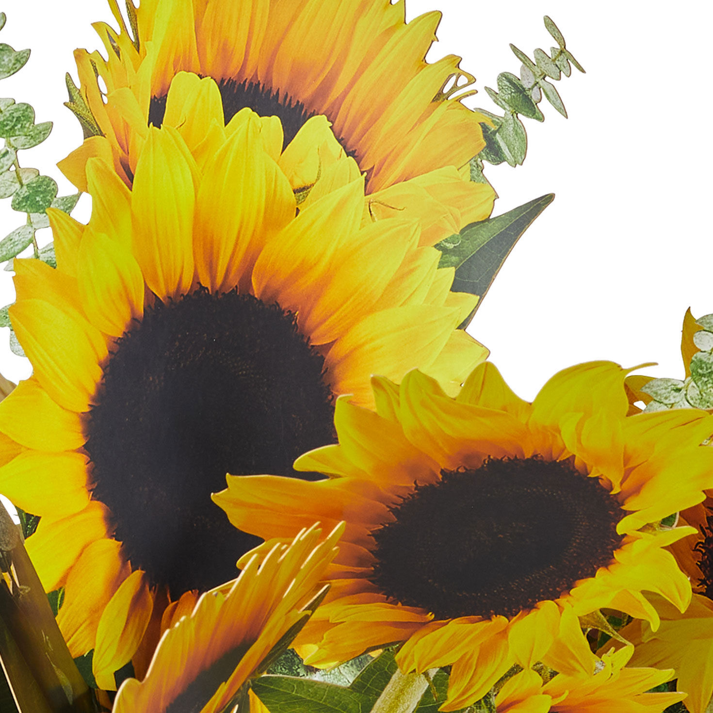 Build-a-Bouquet Sunflowers Pop-Up Paper Flowers, Sunflowers, large image number 4