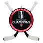 NHL Florida Panthers™ 2024 Stanley Cup® Champions Hockey Ornament, , large image number 1