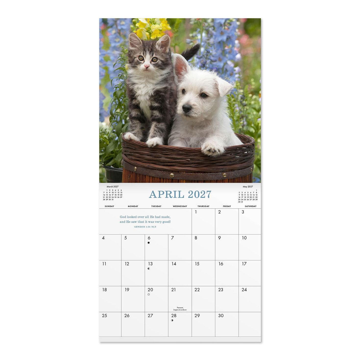 Cute Household Pets 7x7 Mini Wall Calendar inside spread image number 4