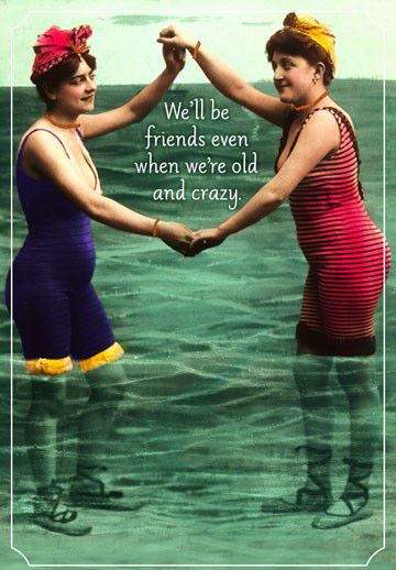 Old and Crazy Friends Funny Birthday Card