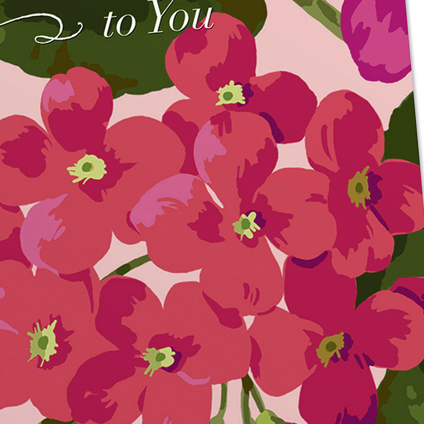 Floral Beauty DaySpring Birthday Cards Assortment Cover Detail image number 5