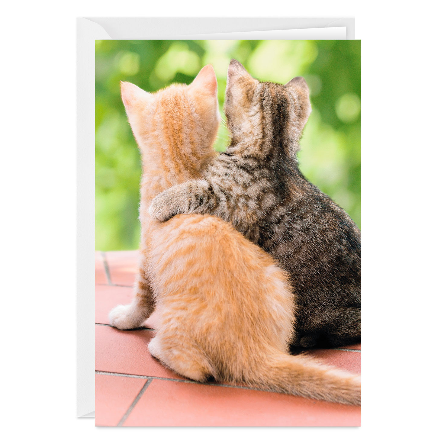 A Friend Like You Friendship, , large image number 1