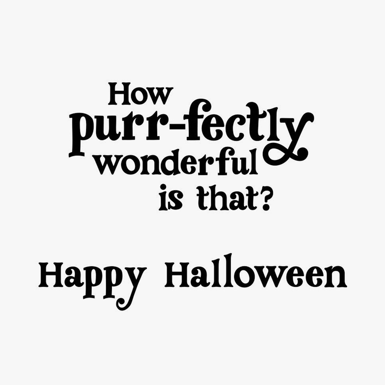 Black Kitty on Orange Halloween Cards Pack Sentiment image number 3