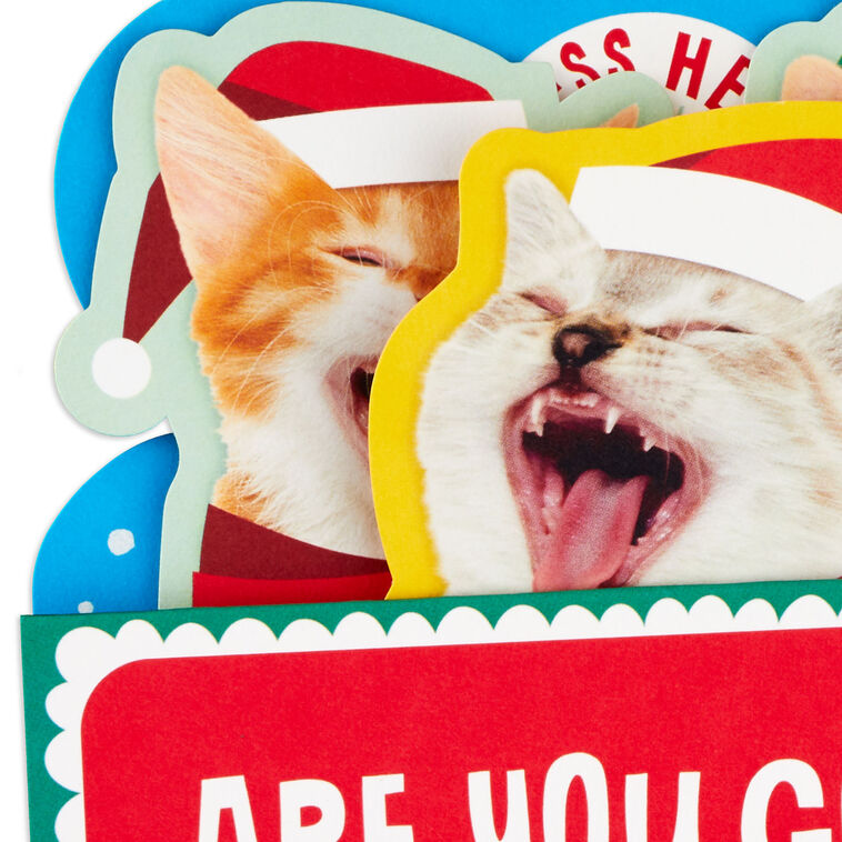 Caroling Cats Funny Musical Pop-Up Christmas Card Card Front Detail image number 5