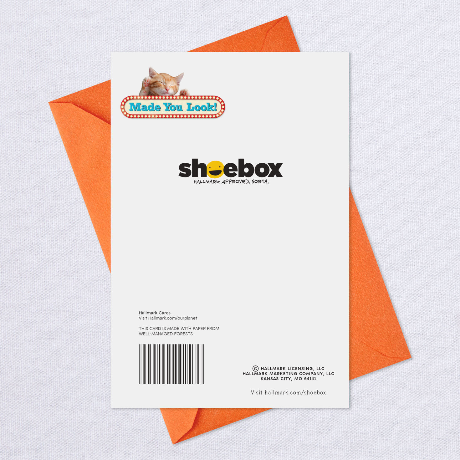 Kitten With To-Do List Get Well Card, , large image number 7