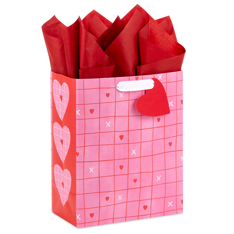9.6" Red Grid on Pink Medium Valentine's Day Gift Bag With Tissue Paper