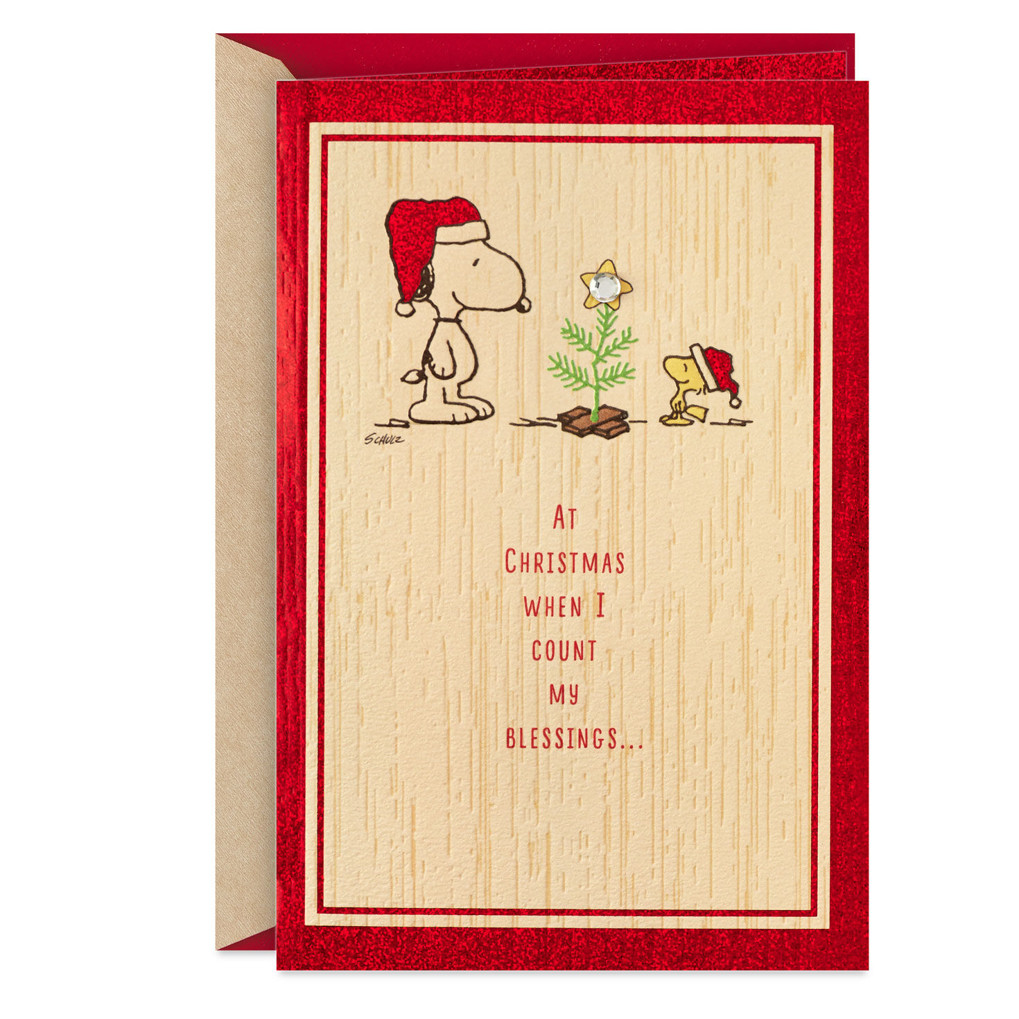 Peanuts® Snoopy and Woodstock You're a Blessing Christmas Card