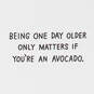 A Brief Guide to Avocados Funny Birthday Card, , large image number 2