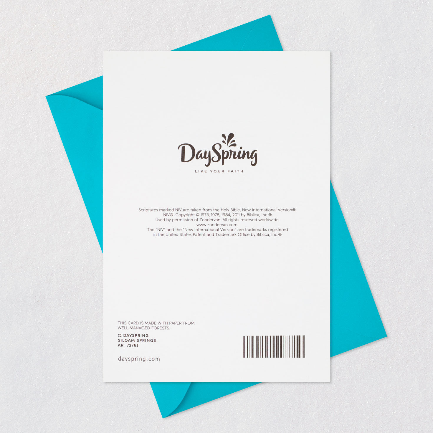 You Are Special Religious College Graduation Card for only USD 3.99 | Hallmark