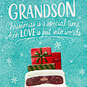 Grandson, Many Special Memories You've Given Me Christmas Card, , large image number 5