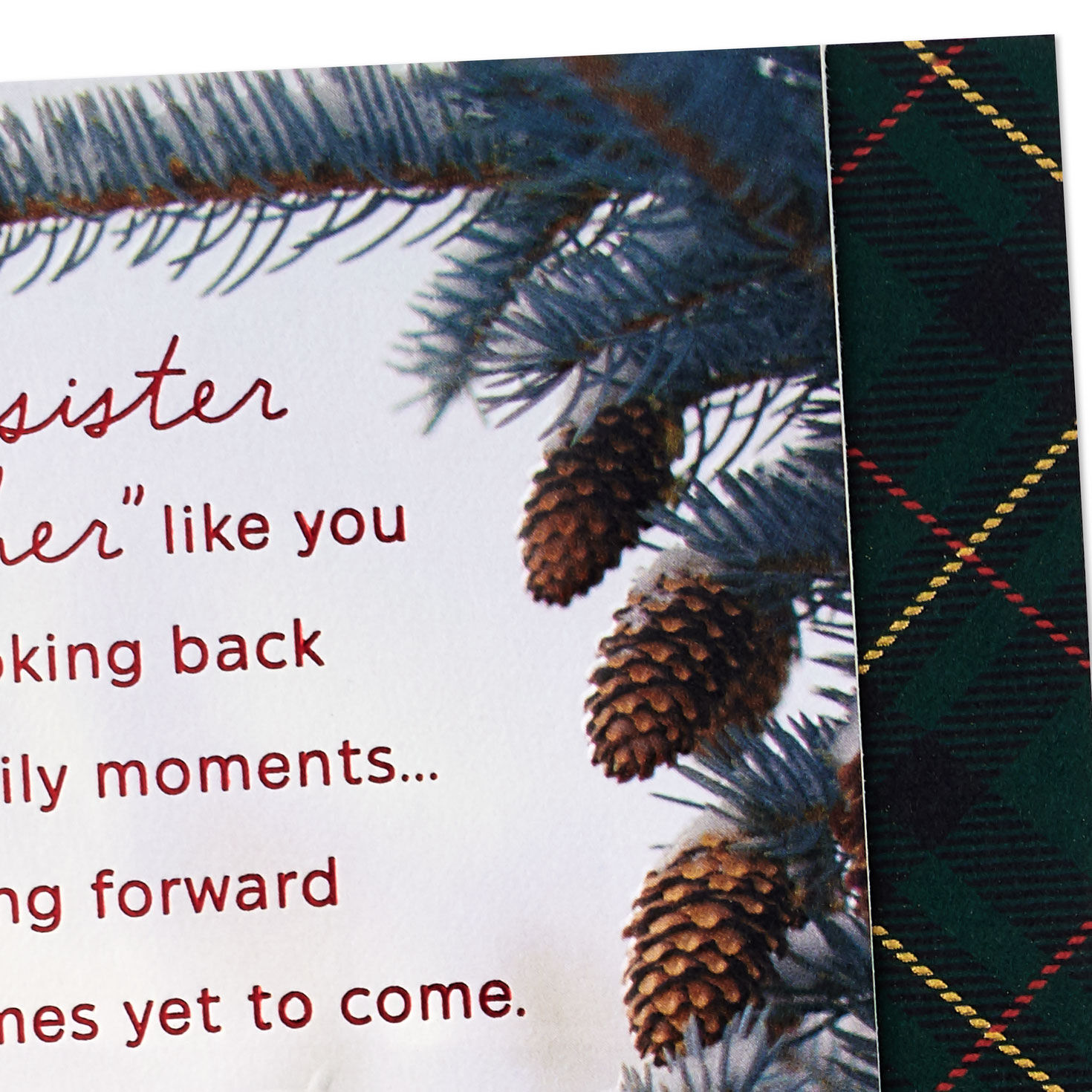 Tree With Ornaments Christmas Card for Sister and Brother-in-Law Card Front Detail image number 4