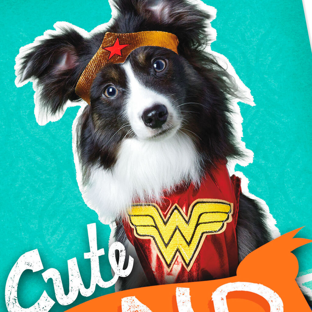 Cute And Epic Dog Funny Birthday Card