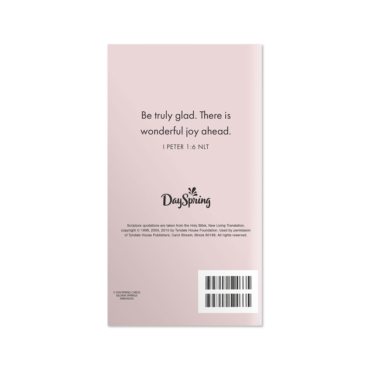 Vintage Ribbons 2027 2028 28-Month Planner Back image number 2
