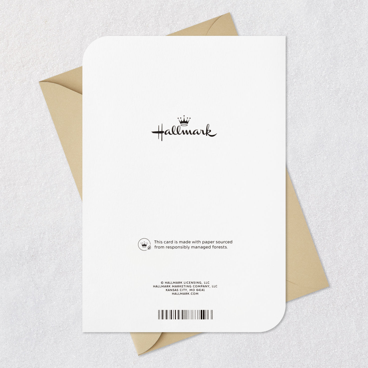 Foliage Framed Quote Thanksgiving Card for Family Card Back with Envelope image number 7