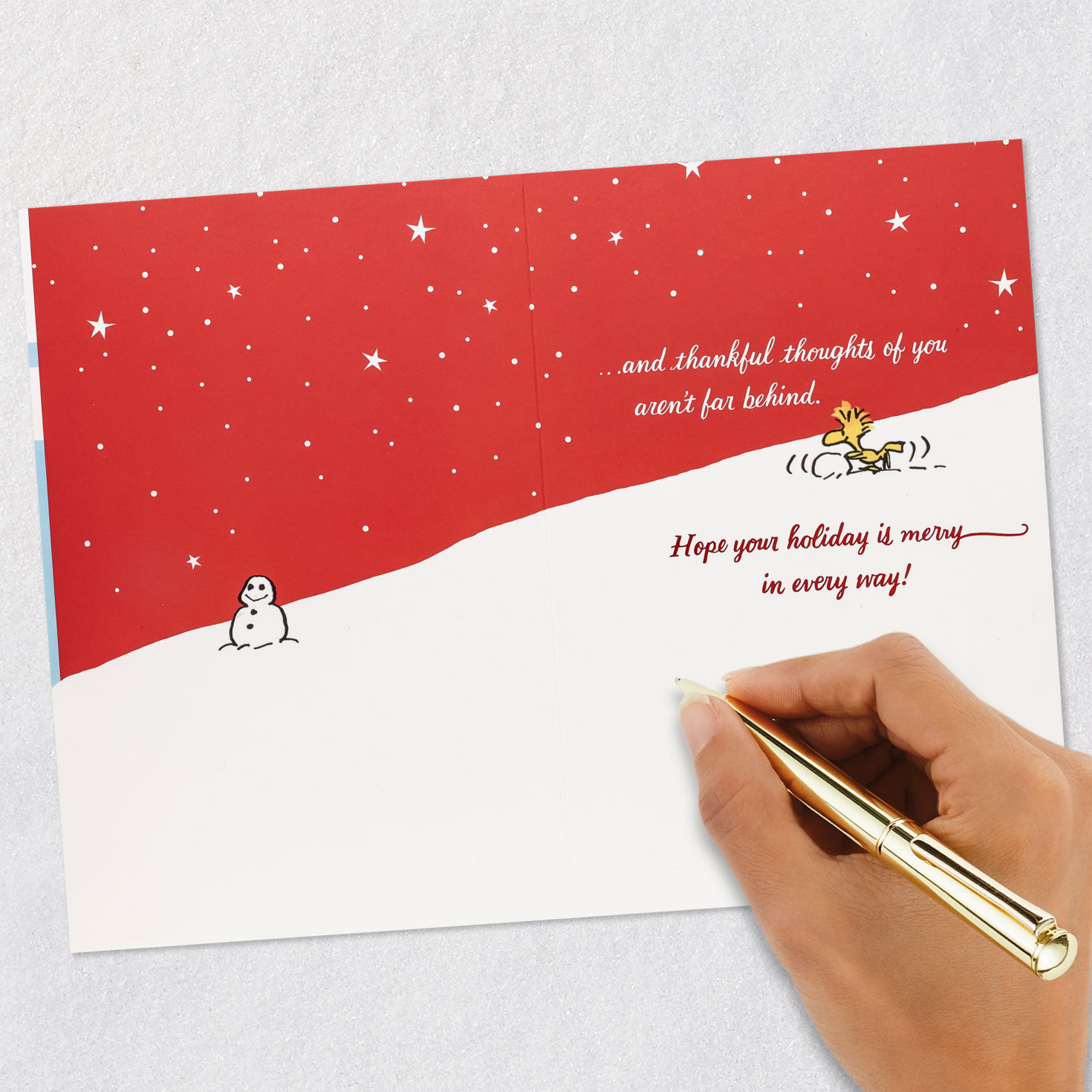 Snoopy Ice Skating Christmas Appreciation Card Signing card image number 6