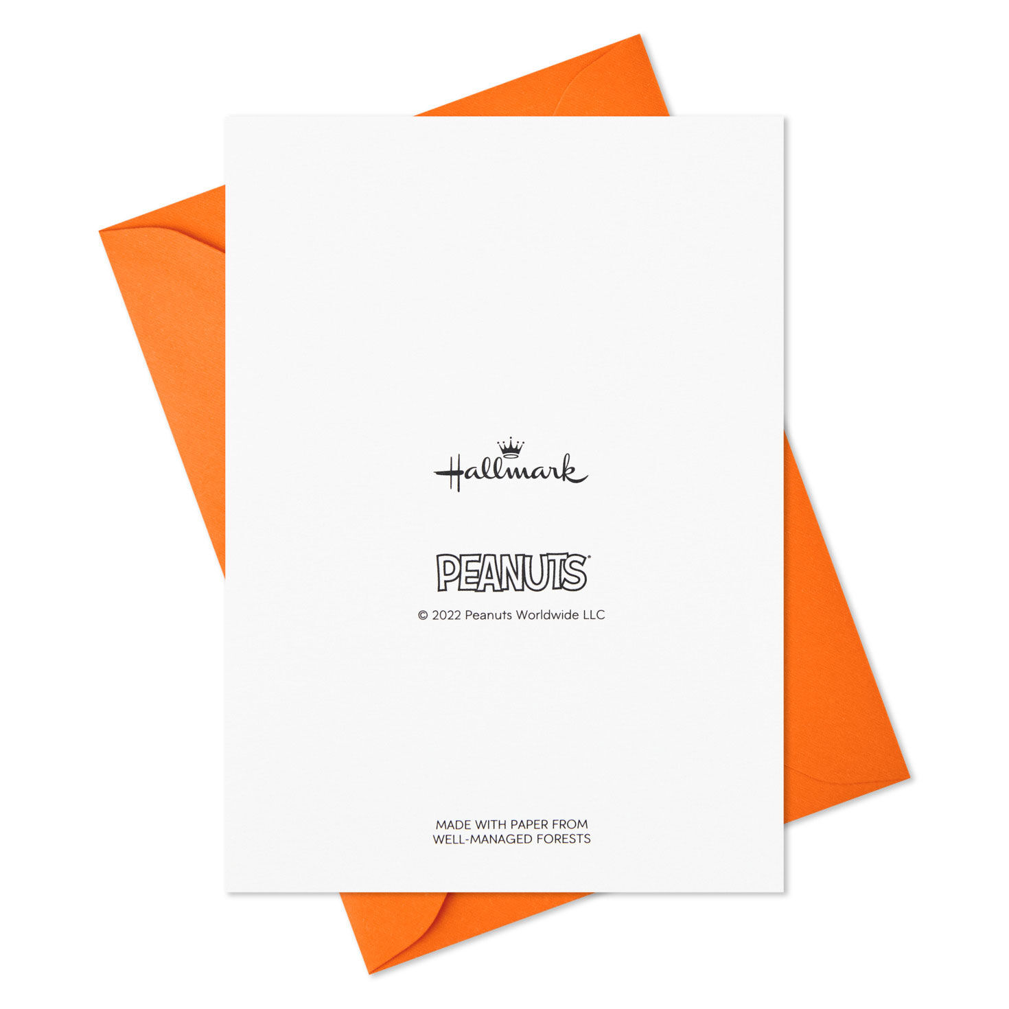 Snoopy Hot Air Balloon Boxed Thank-You Notes, Pack of 12, , large image number 6