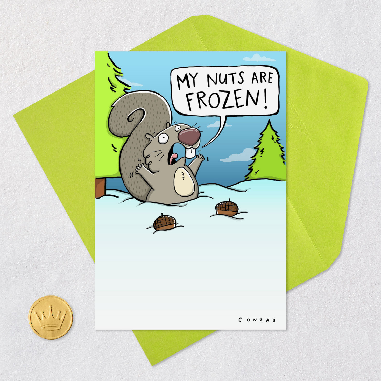 Frozen Nuts Funny Christmas Card, , large image number 5