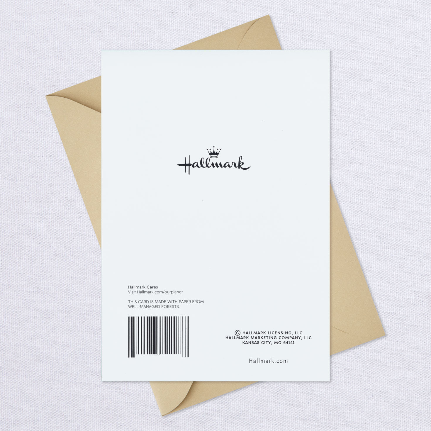 Remembering Him Gilded Leaves Sympathy Card, , large image number 7