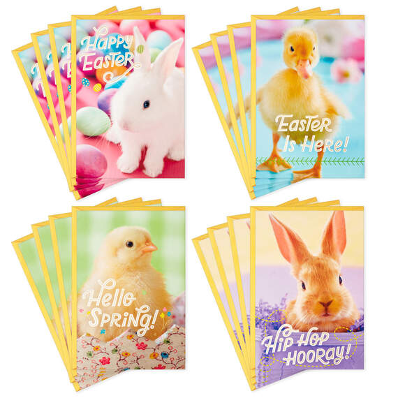Cute Animals Boxed Easter Cards Assortment, Pack of 16