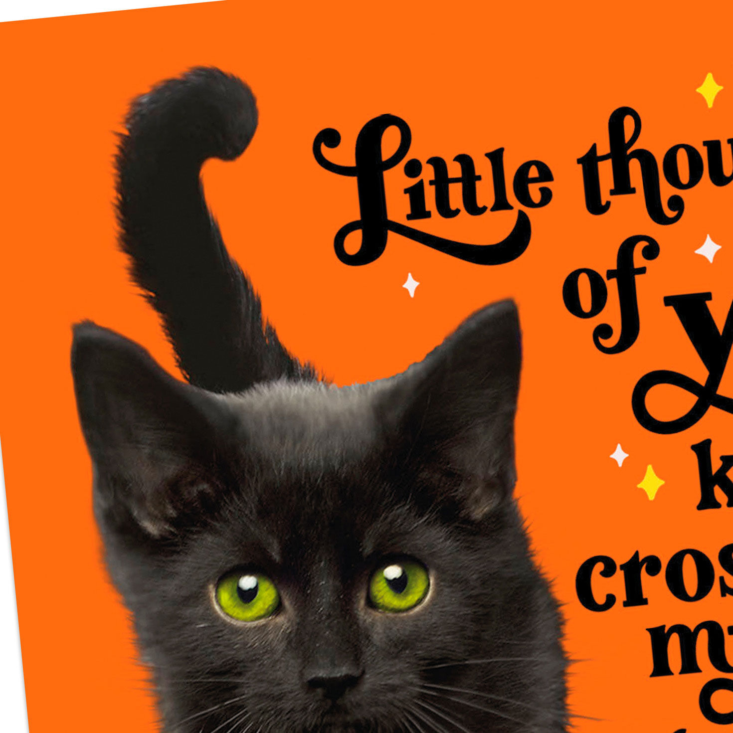 Black Kitty on Orange Halloween Cards Pack Cover Detail image number 4