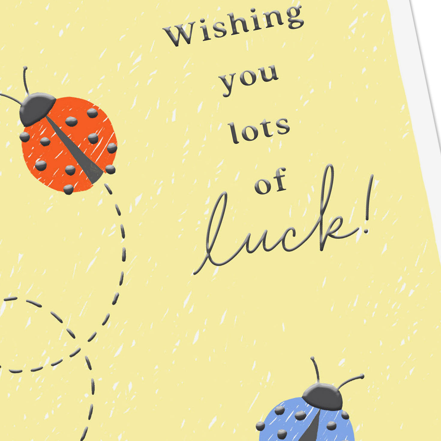 Red and Blue Ladybug Good Luck Card Card Front Detail image number 4
