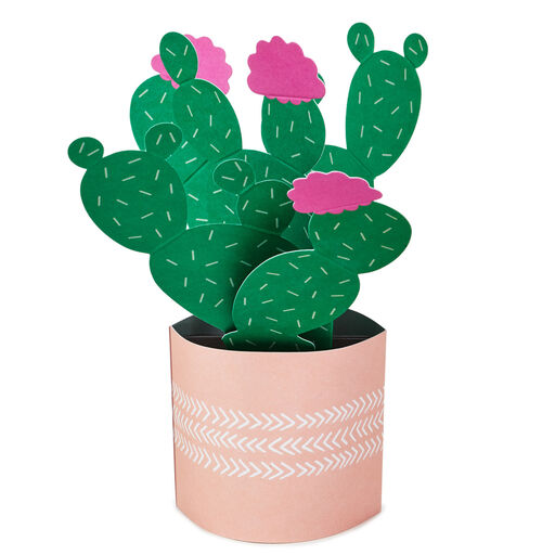 Cactus Looking Sharp 3D Pop-Up Card, 