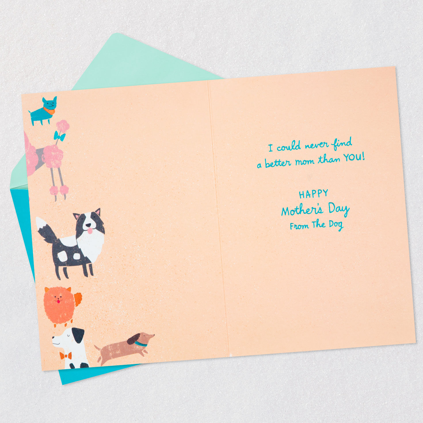 No Better Mom Than You Mother's Day Card From the Dog, , large image number 3