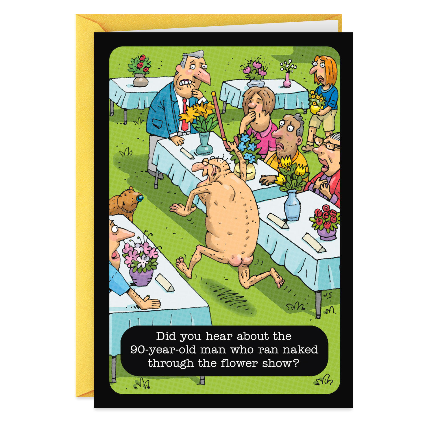 Best Dried Arrangement Funny Birthday Card Greeting Cards Hallmark