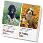 365 Dogs Page-A-Day Calendar, 2021, , large image number 2
