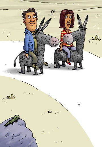 Donkeys and Asses Funny Birthday Card