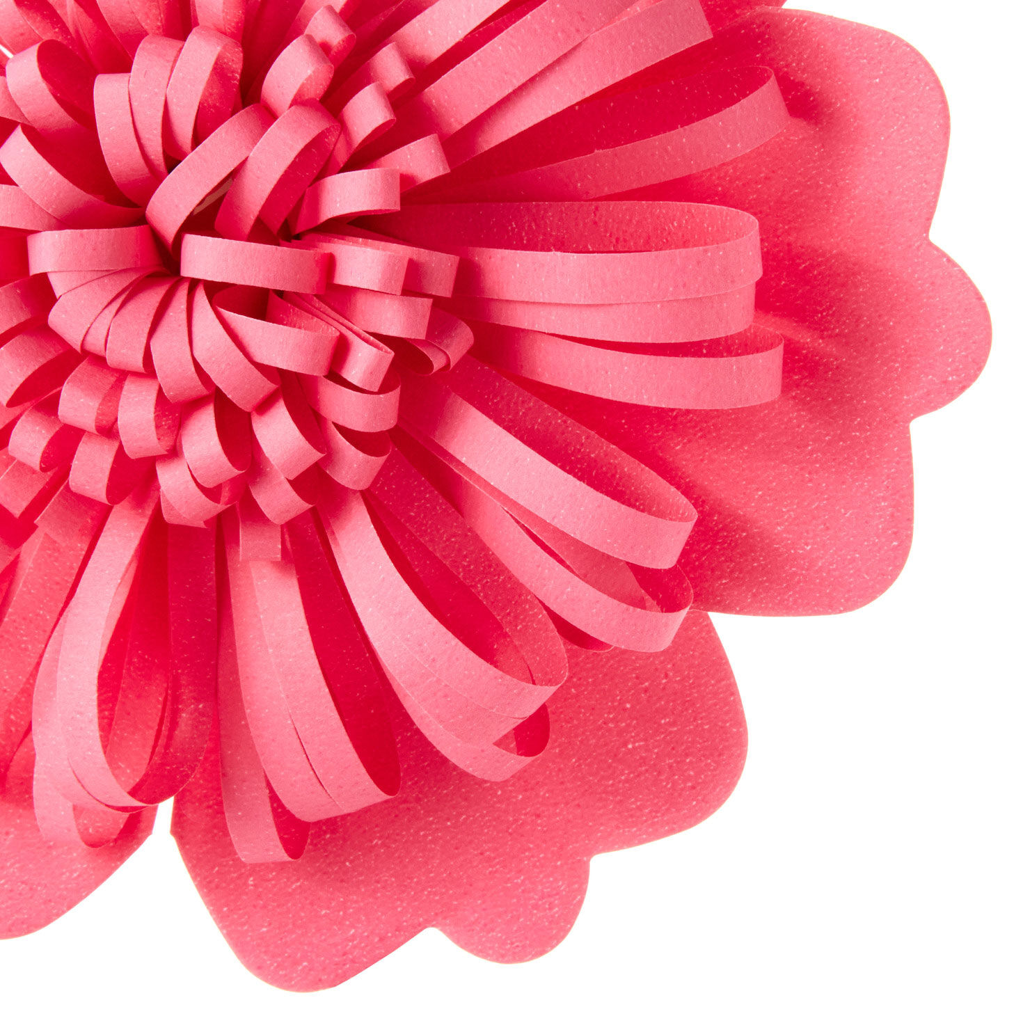 Scalloped Floral Gift Bow in Coral Pink upclose view image number 5
