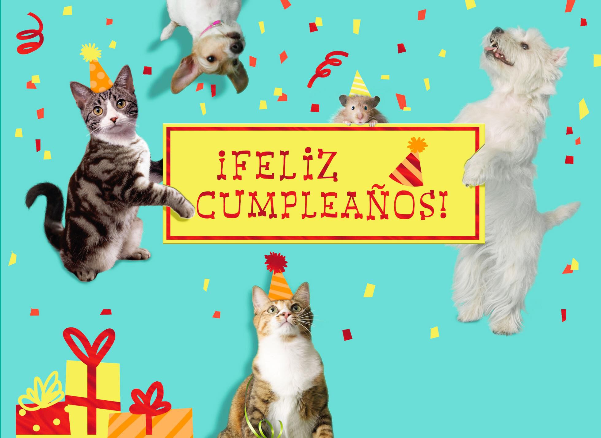 Party Waiting to Happen Spanish-Language Birthday Card