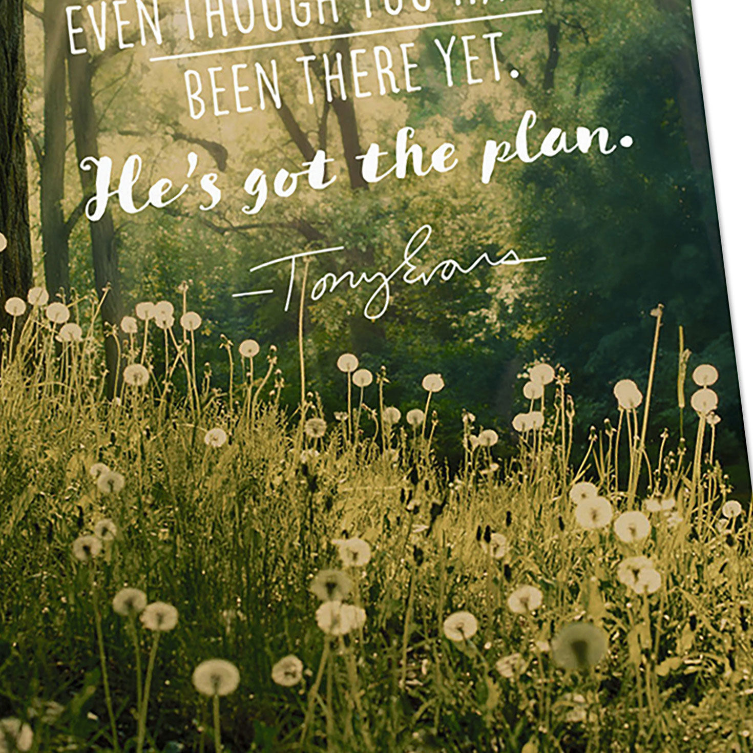 Tony Evans DaySpring Birthday Cards Assortment Cover Detail image number 5