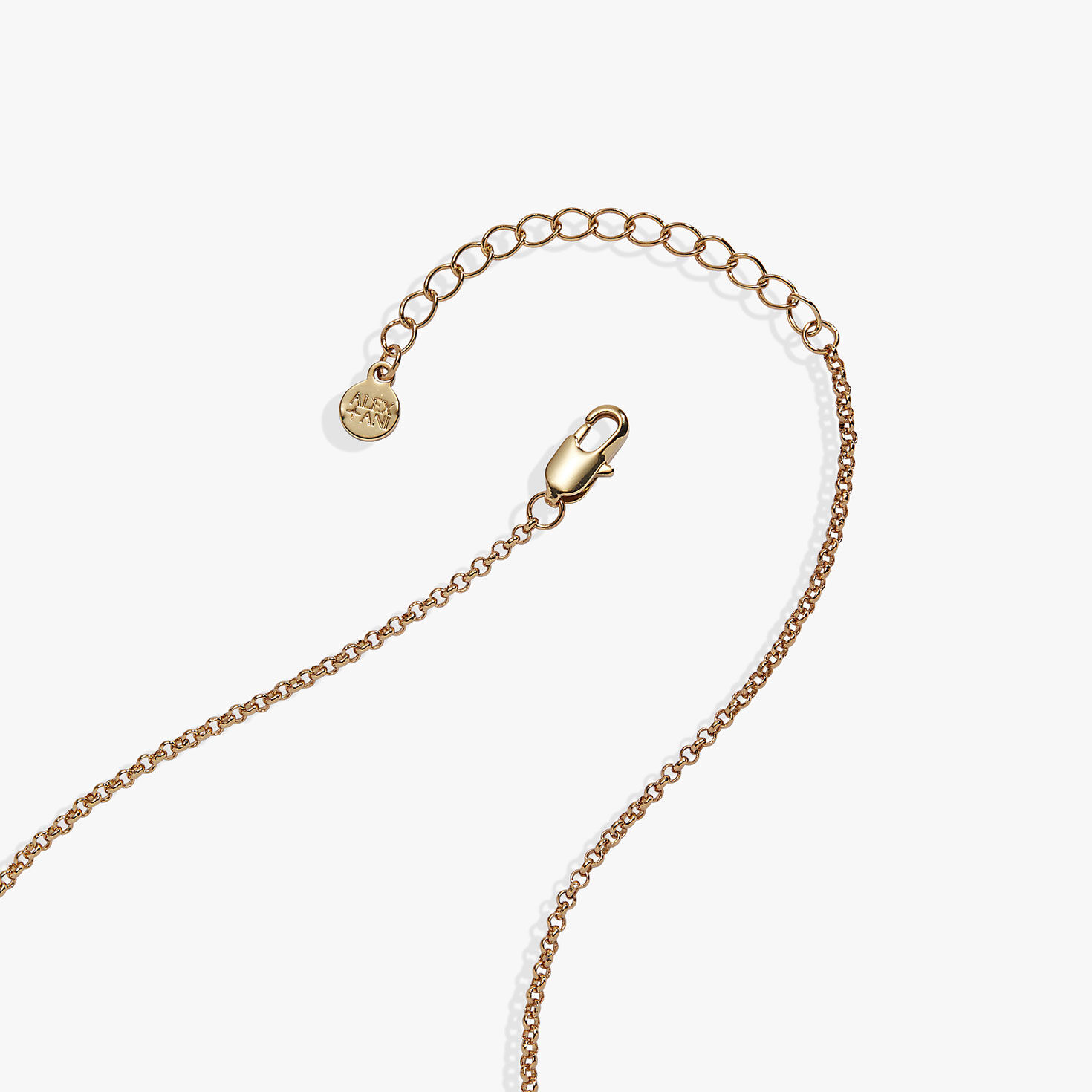 Alex And Ani 'A Reader Lives A Thousand Lives' Book Club Locket Pendant closeup view image number 3